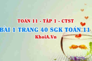 Bài 1 trang 40 SGK Toán 11 Tập 1 Chân trời sáng tạo